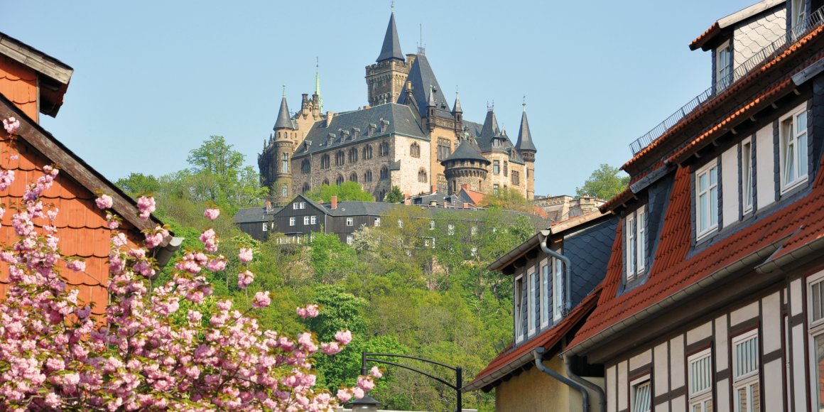 Blick von Wernigerode auf das Schloss