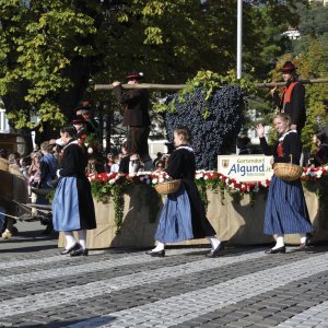 Traubenfest in Meran