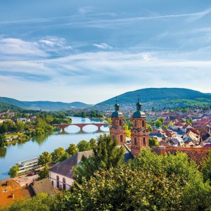 Blick auf Miltenberg am Main