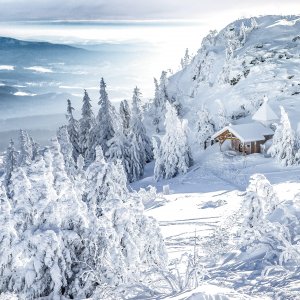 Winterlandschaft am Grossen Arber im Bayerischen Wald