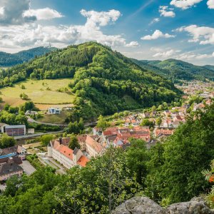 Blick auf Wolfach