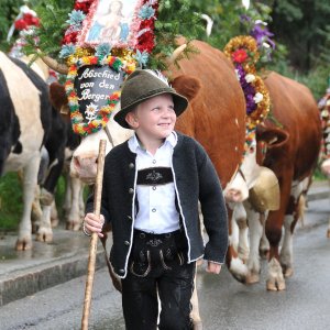 Almabtrieb in Reith im Alpbachtal