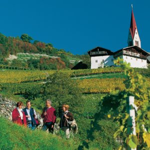 Herbstwanderung im Eisacktal