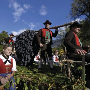 Traubenfest in Meran