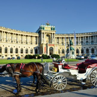 Fiaker vor der Hofburg in Wien