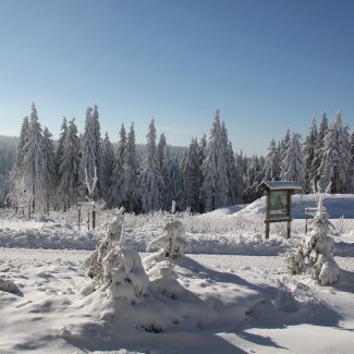 Winterliches Oberhof